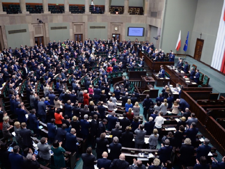 Sejm za przywróceniem kar za wycinanie drzew na terenach zabytkowych